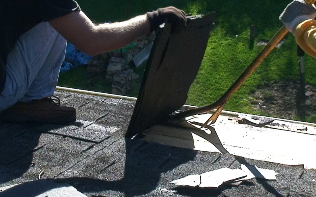 Best Tips and Tricks for Using RipCart™ & BigBlue™ Demo Blade